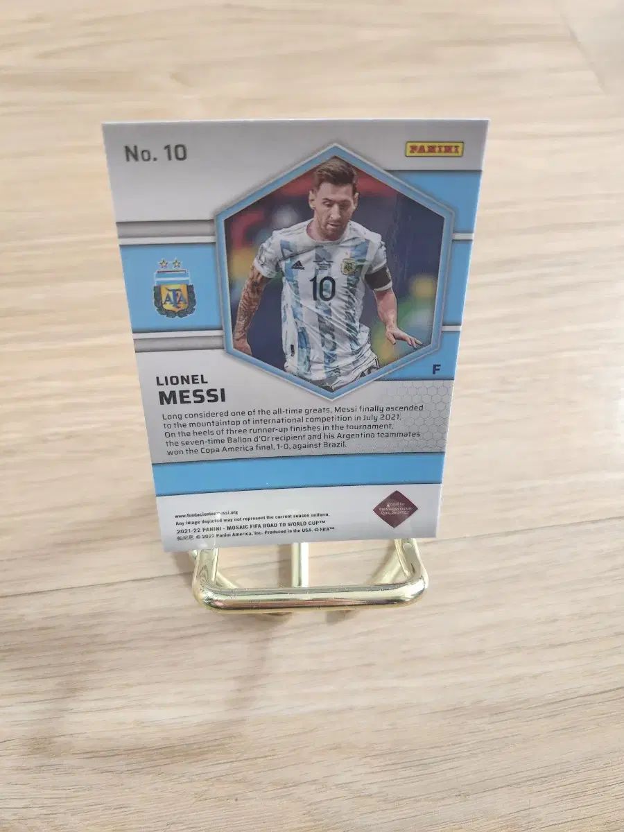その他 PANINI WORLD CUP MOSAIC 07151706_6694d8691afd4.jpg