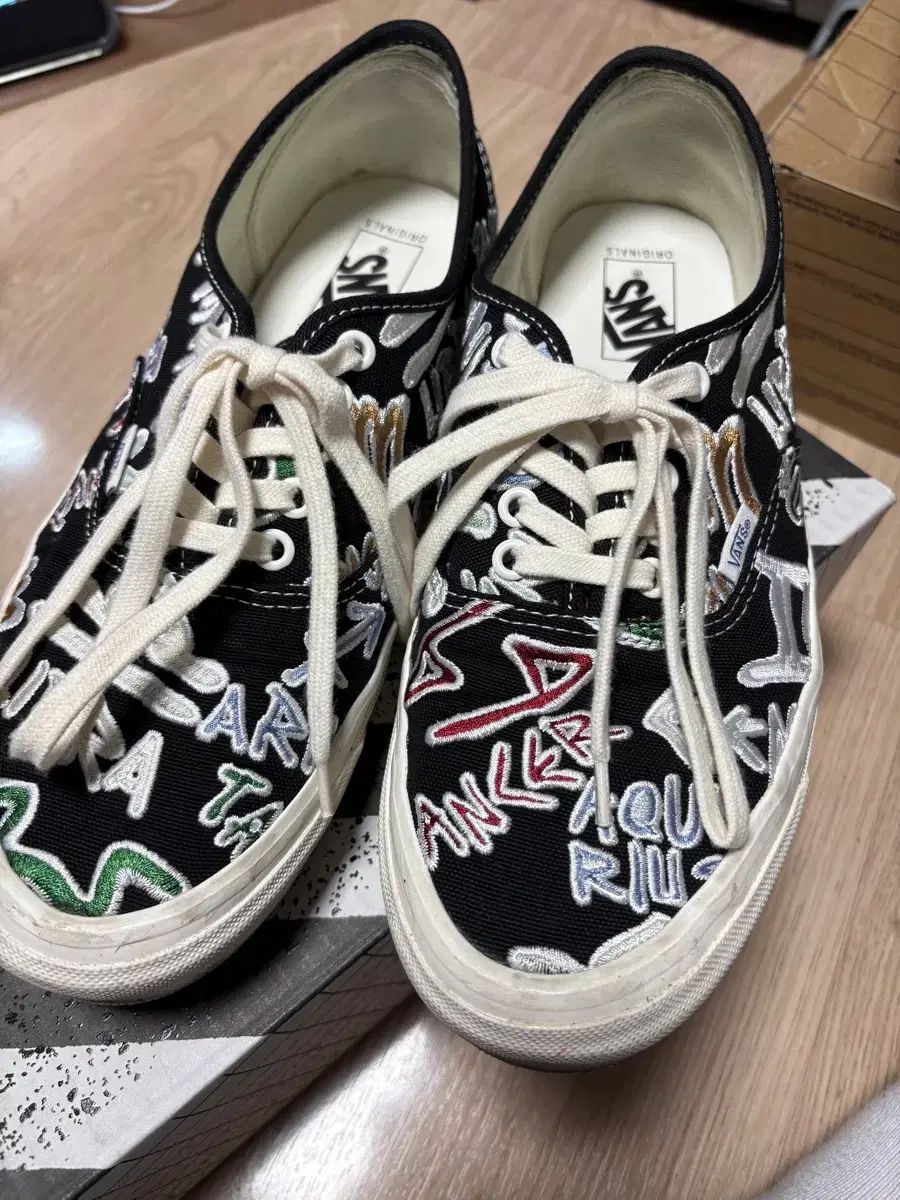 【原種】ハオルチア ソルディダ 'Mint Cream' JDV91-127 22ー534）ハオルチア ハオルチオプシス ソルディダ ミント
