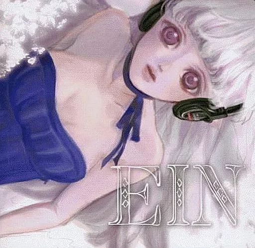 中古】同人音楽CDソフト EIN / Liz Triangle - メルカリ