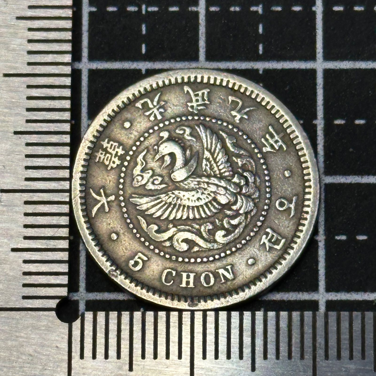 銅貨】大韓帝国 光武期 5錢（5 CHON）大型銅貨／鳳凰と無窮花文様 近代