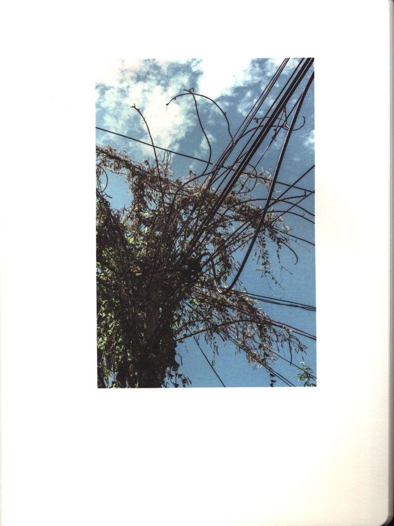 芸術写真 o Lizaralde Everything will be ok o Lizaralde everything will be ok 【公式通販】