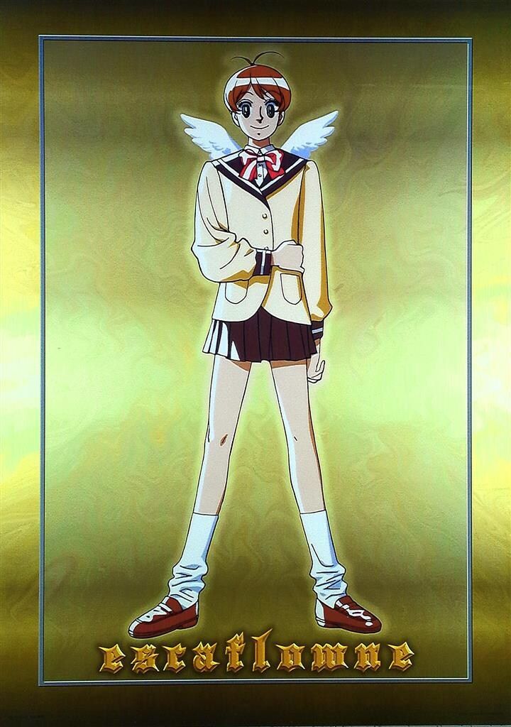 天空のエスカフローネ B2ポスター - メルカリ