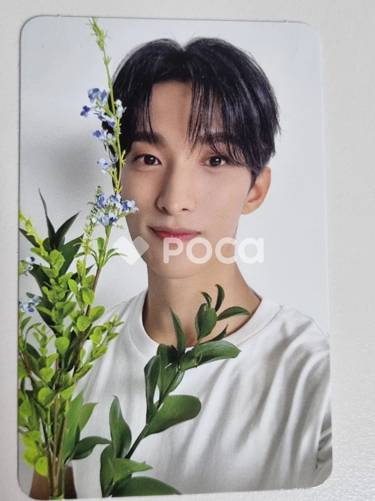 Seventeen ドギョム 17 IS RIGHT HERE DEAR Ver. - メルカリ