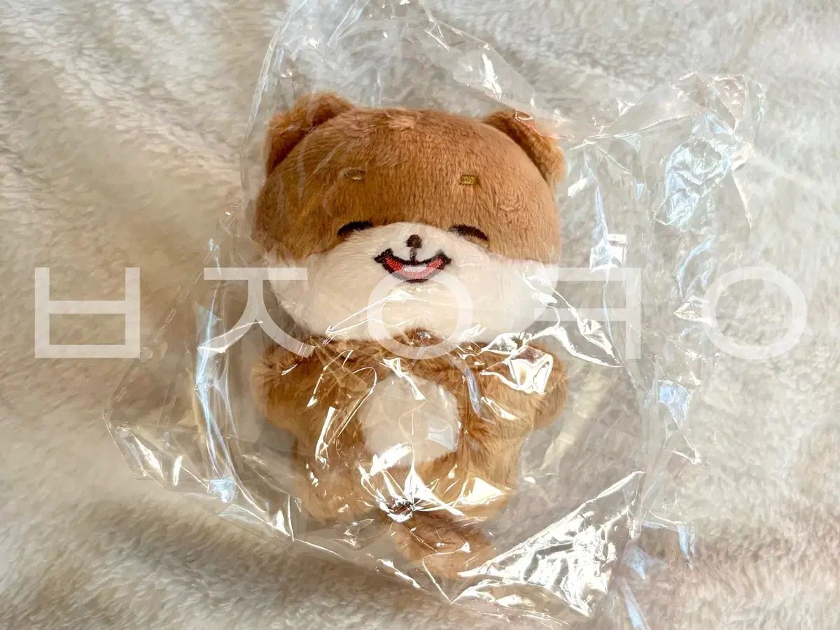 RIIZE ショウタロウ(SHOTARO・大﨑 将太郎) 10cmぬいぐるみ