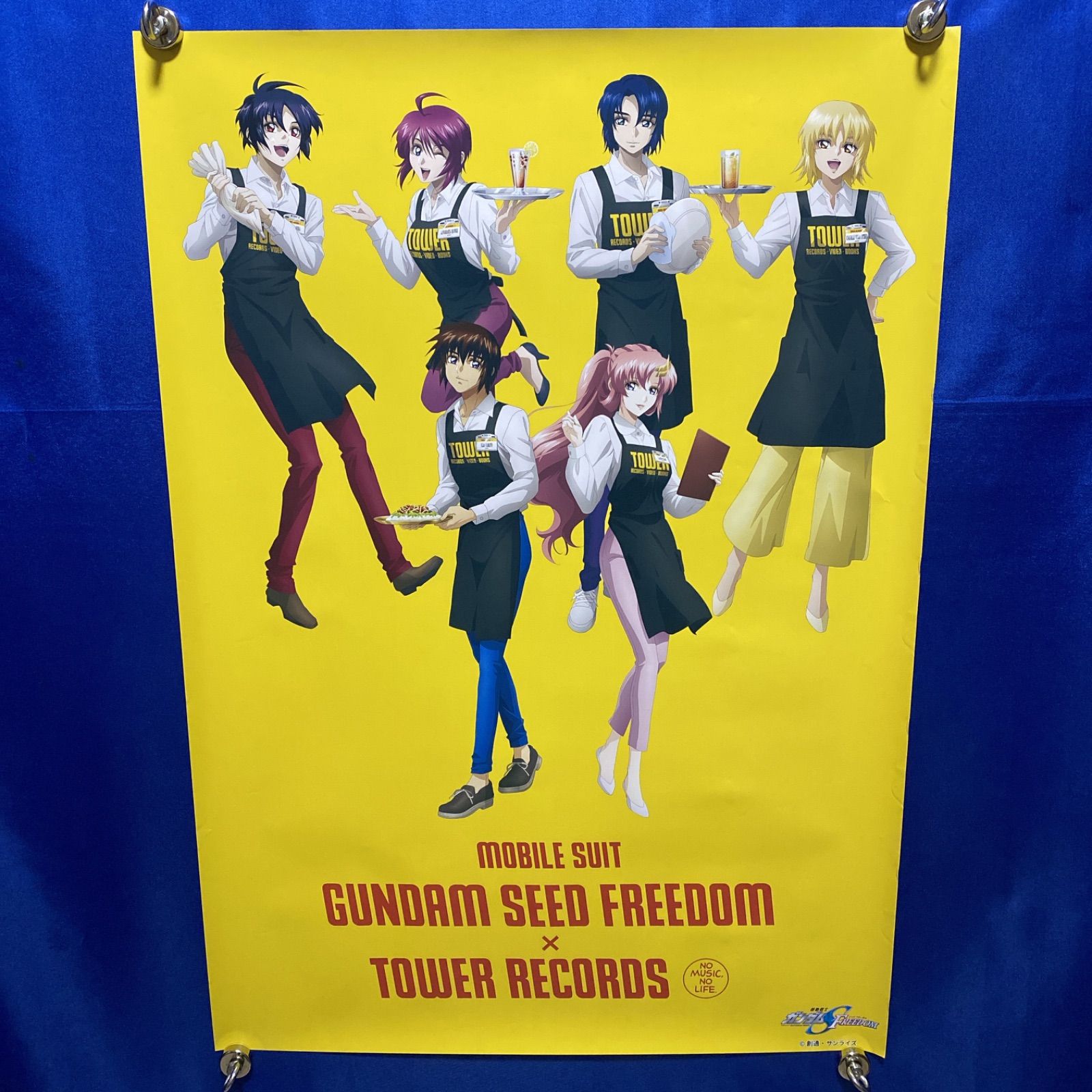 ガンダムSEED FREEDOM×タワーレコードB2ポスター #1007 - メルカリ