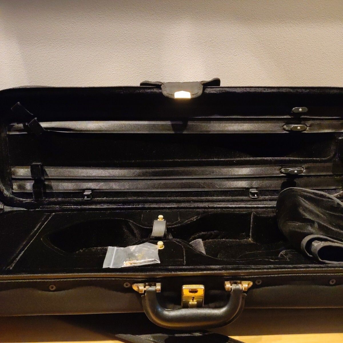 希少 スイス製 amiet アミエット SuperLight バイオリンケース 4/4