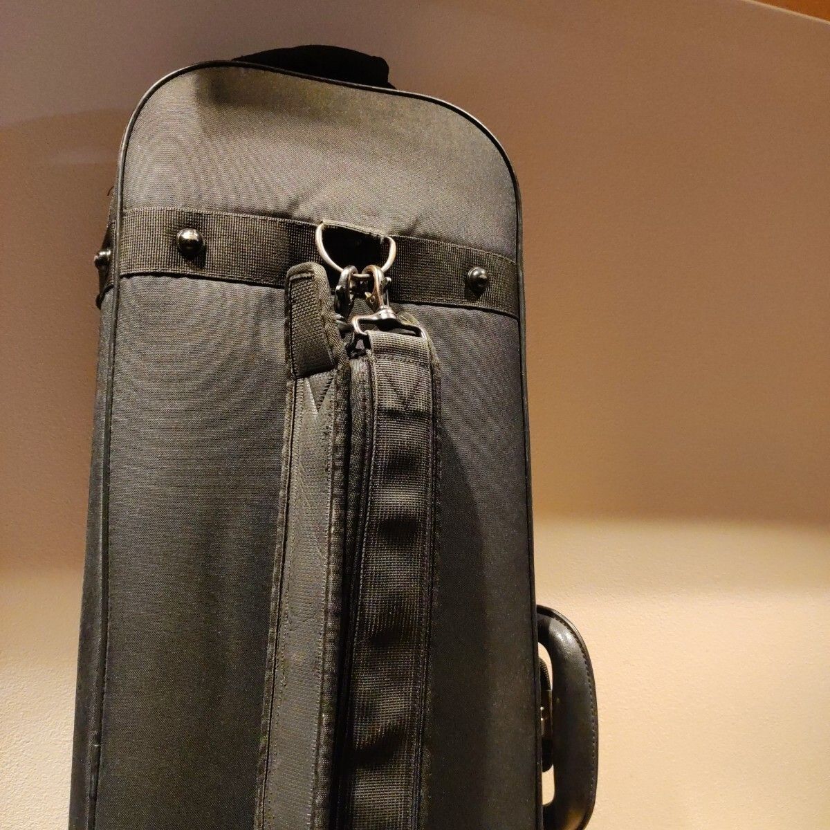 希少 スイス製 amiet アミエット SuperLight バイオリンケース 4/4