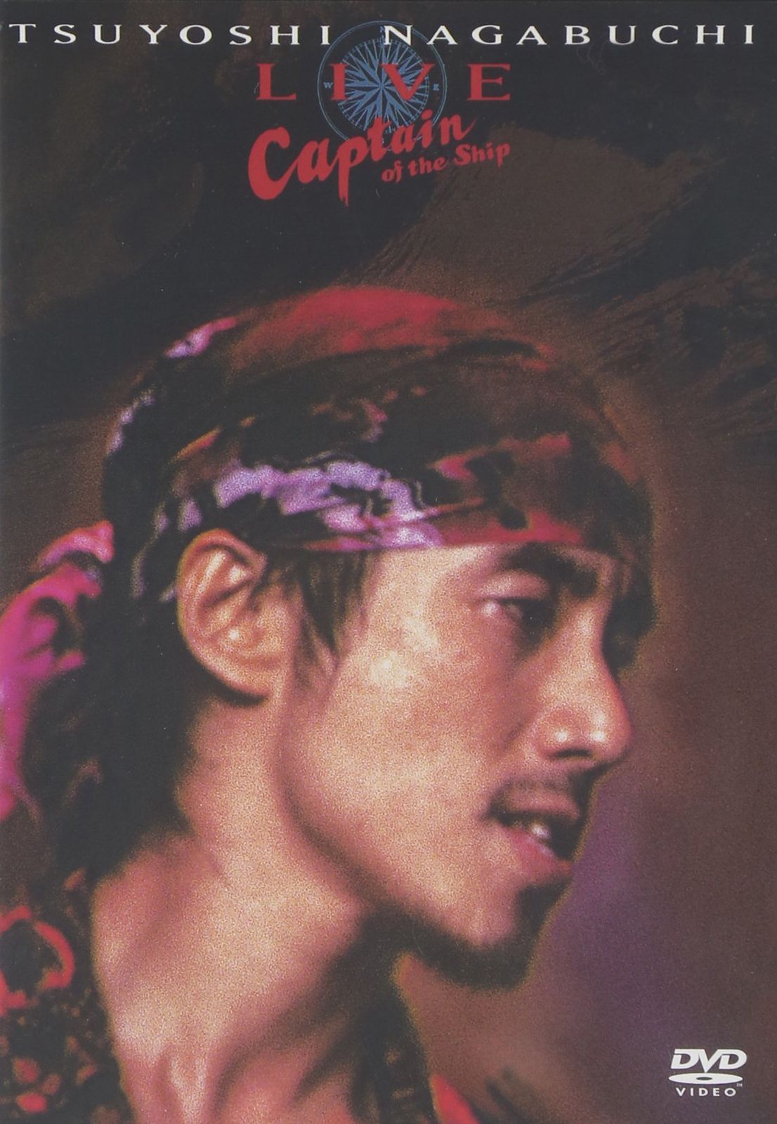 特大24cm】天童 飾り駒 左馬 3代目 武内王将堂 鷹山作 箱・しおり完備