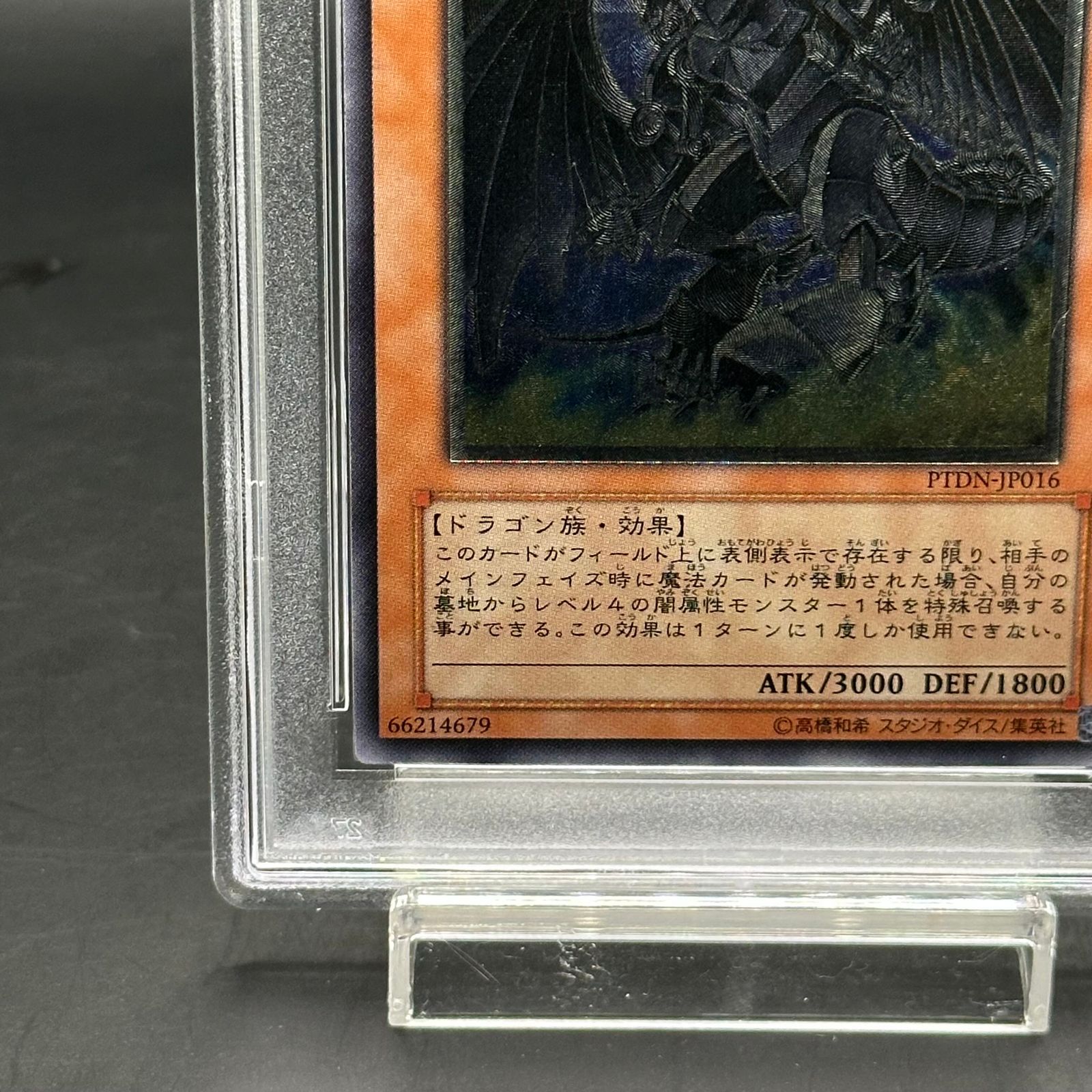 PSA10】ダークホルスドラゴン [レリーフ] {PTDN-JP016} 【公式通販】
