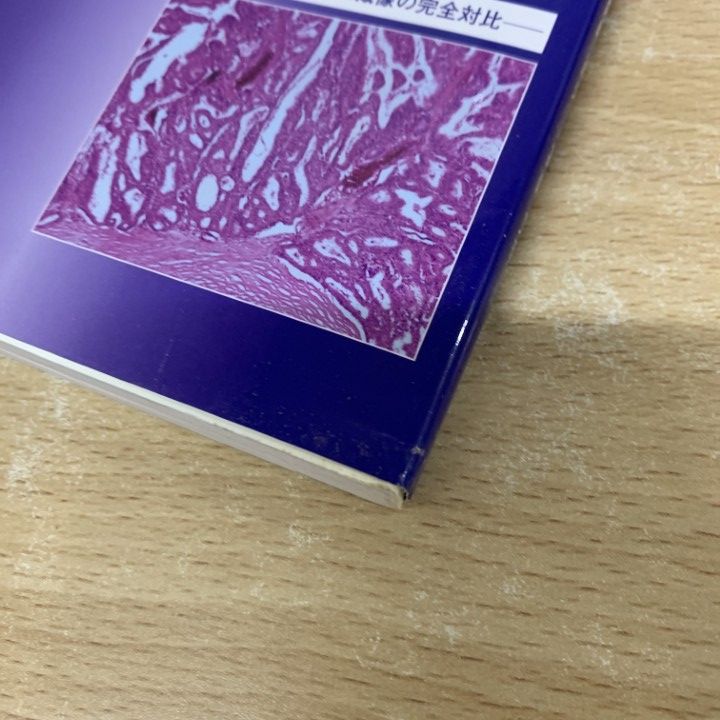 △01)【1点限り!】臨床と病理のための乳腺MRIアトラス/画像と組織像の