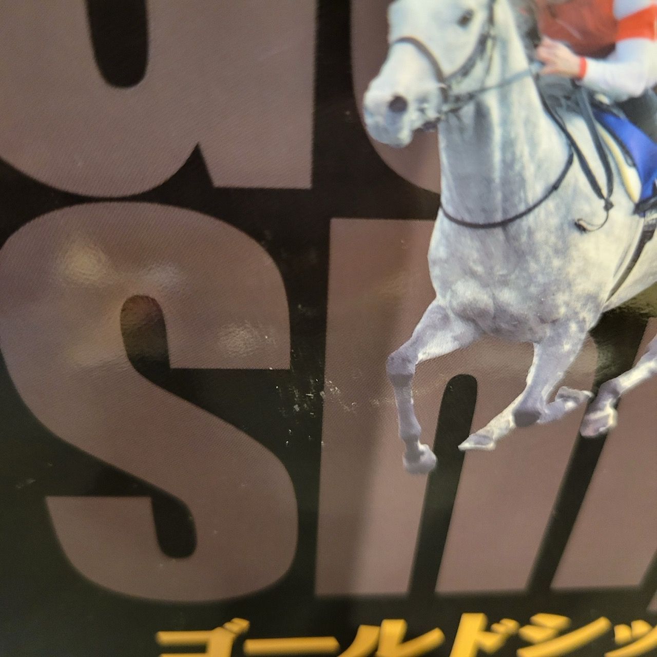 ゴールドシップ 写真集＆DVD「黄金の帆を揚げて 〜Endless Voyage