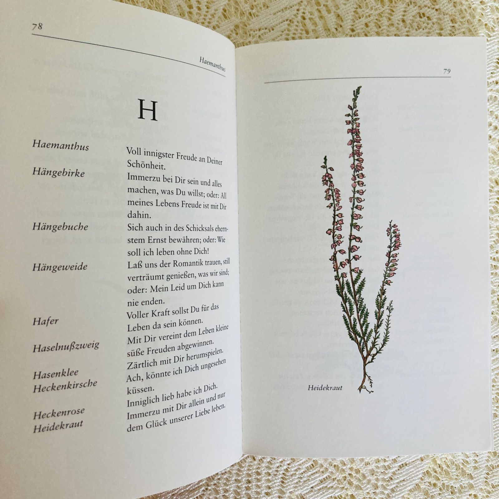 花言葉のドイツ語古書 繊細な植物画 インテリア洋書 - メルカリ