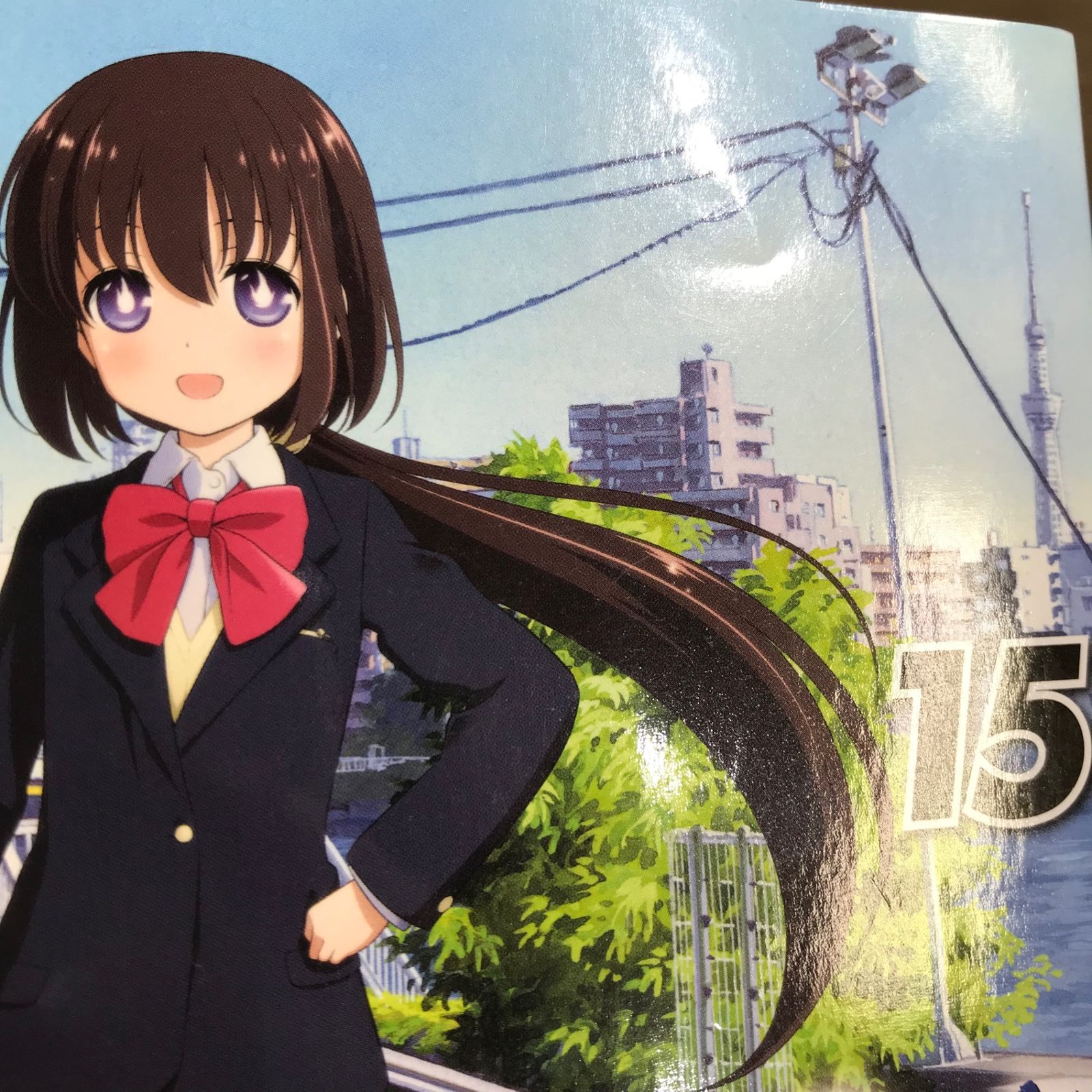 咲 -Saki- 15巻/【作者】小林立/GF-0225058286-YP/GF11911 - メルカリ