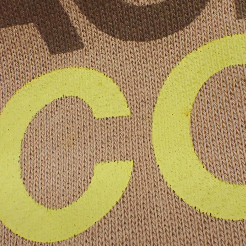 GUCCI(グッチ) GUCCI×THE NORTH FACE コラボ ロゴパーカー スウェット