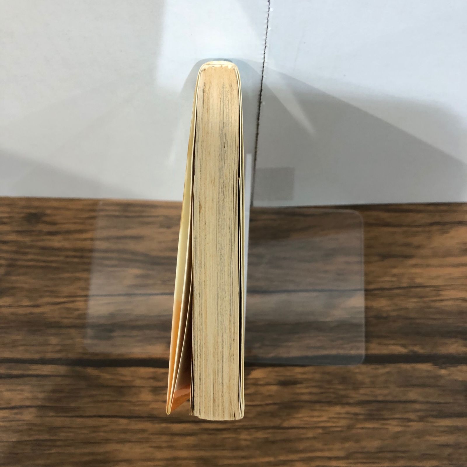 みどりのマキバオー 4巻/【作者】つの丸/GF-0225058835-YP/GF08761