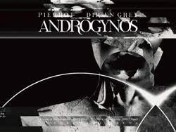 PIERROT DIR EN GREY ANDROGYNOS Blu-ray【豪華盤】(中古品) - メルカリ