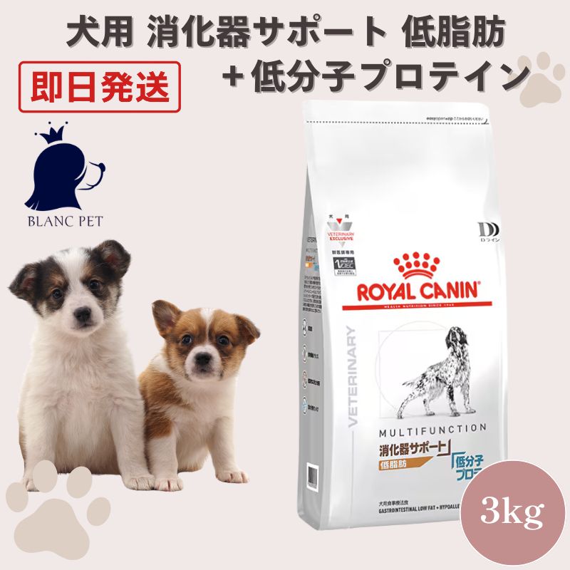 ロイヤルカナン 消化器サポート 低脂肪 低分子プロテイン 3kg×2