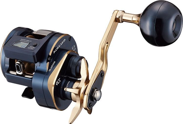 ダイワ 21 ソルティガ IC 300L 新品未使用 ダイワ 21 ソルティガ IC 300L / DAIWA 21 SALTIGA IC 300L - メルカリ