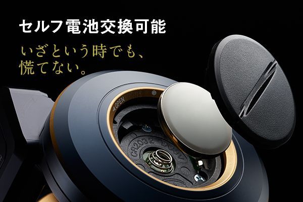 ダイワ 21ソルティガ IC 300L-DH / DAIWA 21 SALTIGA IC 300L-DH