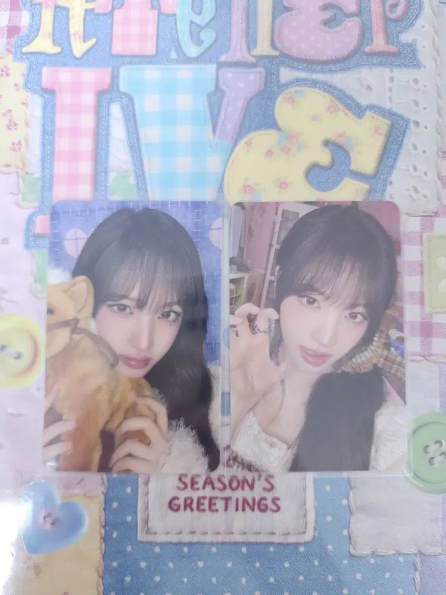 IVE アイブ リズ LIZ シーグリ スタシ 限定 特典 トレカ IVE（アイヴ） IVE リズ(LIZ) シーグリ シーズングリーティング