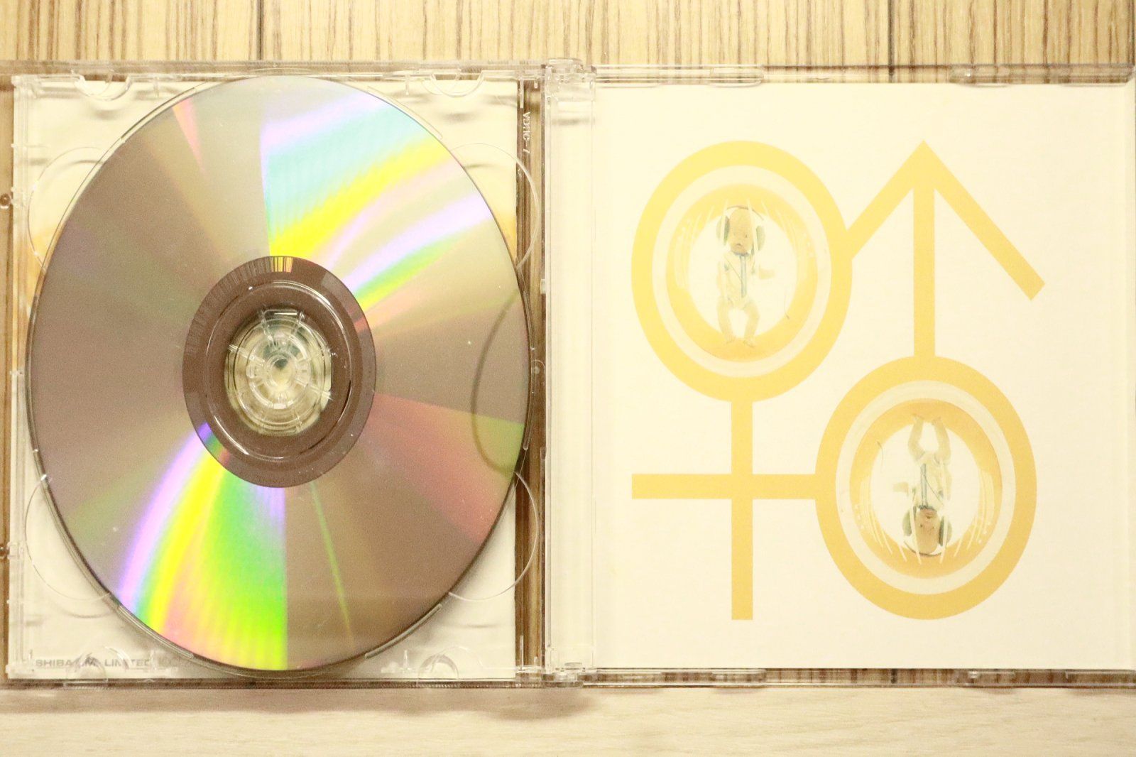 国内盤CD☆松任谷由実/Yumi Matsutoya□ Neue Musik 【TOCT24001