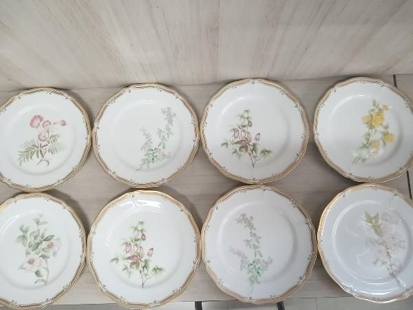 Noritake ノリタケ ガラ コンテッサ プレート8枚セット お皿 花柄