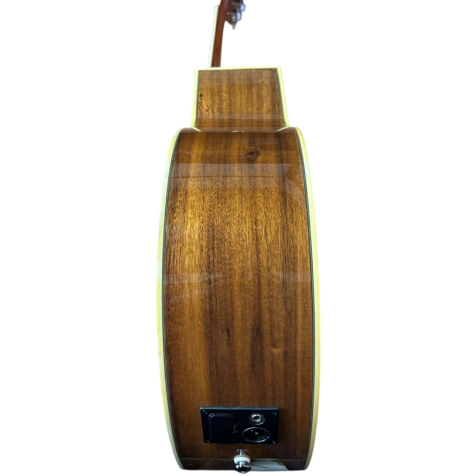 ibanez EW20KOENT1201 希少 エレアコ - メルカリ