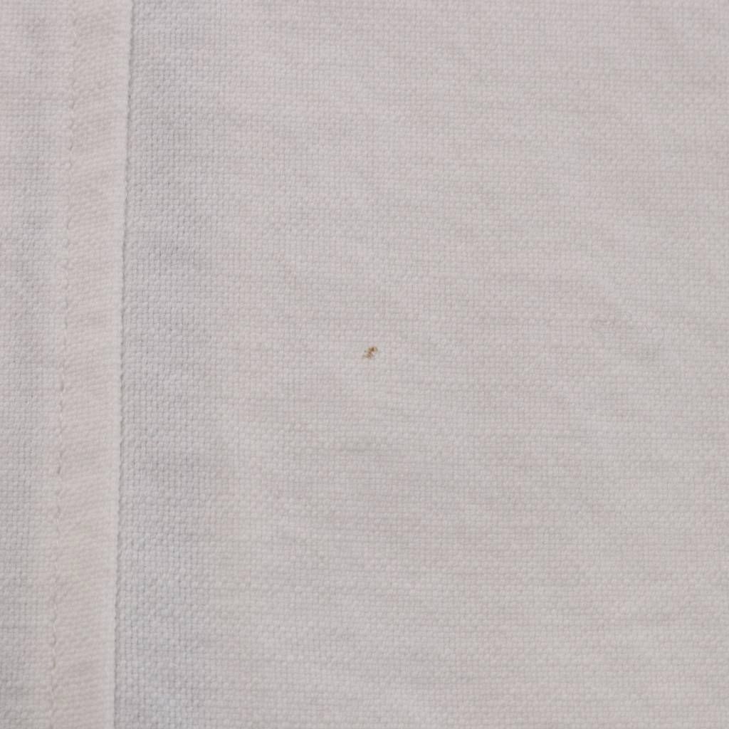 ブランベール　ブルゾン ブランベール blancvert ブルゾン 40 白 ホワイト 長袖 リブ襟