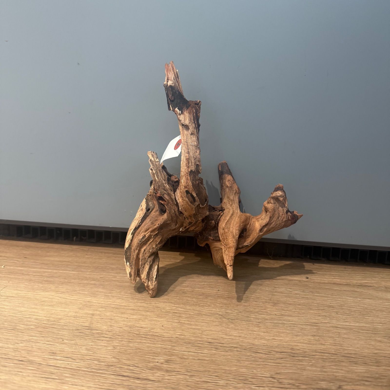 流木(瀬戸内海) DSC_7241.JPG