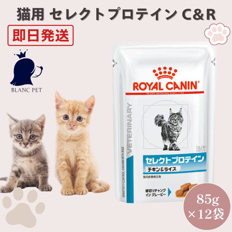 【療法食専門店】 ロイヤルカナン 猫 セレクトプロテイン チキン＆ライス ウェット パウチ 85g (85g&times;12袋)