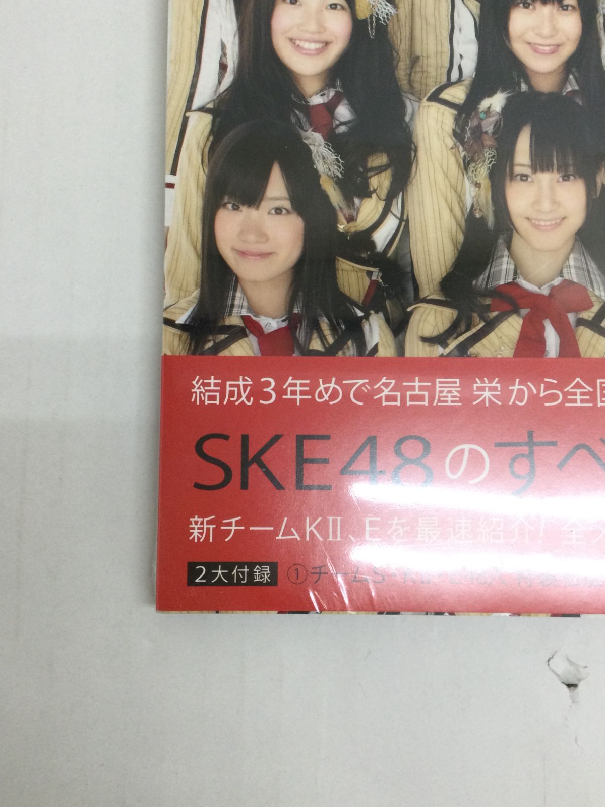 Y007[08]Y3532(写真集) AKB48/SKE48/NMB48/HKT48 ムック本 3冊セット