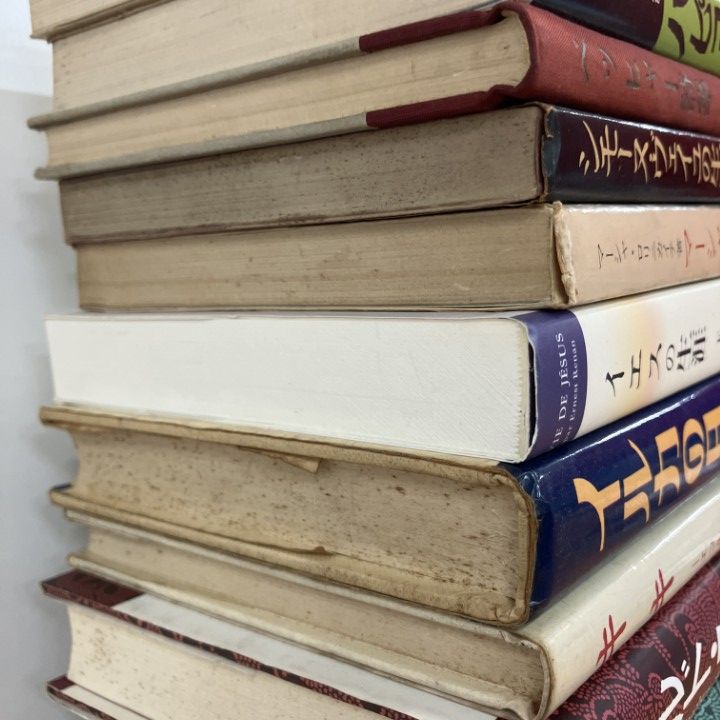 □01)【1点限り!】小説・自伝など海外文学の本 まとめ売り約30冊大量