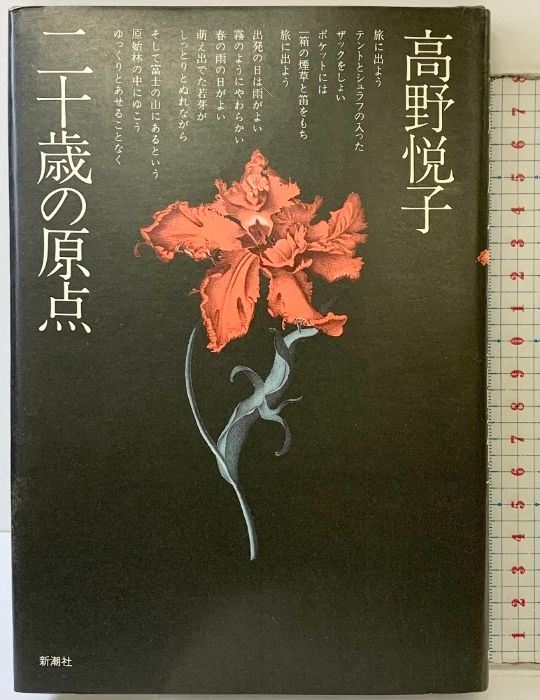 沖縄育ちのアダン葉ロール“25 Craft-Ⅵ~Ⅶ&竹製鞣し棒セット” アウトレット 沖縄育ちのアダン葉ロール“25 Craft-Ⅵ~Ⅶ&竹製鞣し棒セット”