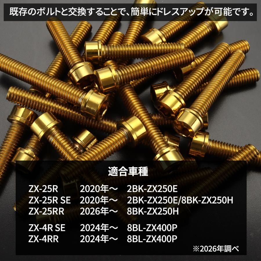 ニンジャ ZX-25R/4R Ninja エンジンカバー クランクケース ボルト 26本