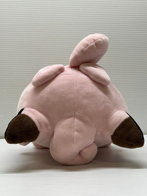 中古品】 ポケットモンスター ぬいぐるみ リーリエがたいせつにして
