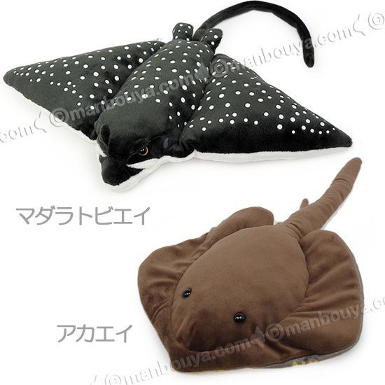 SALE 10%OFF】 エイ ぬいぐるみ 水族館 お土産 A-SHOW わくわく図鑑