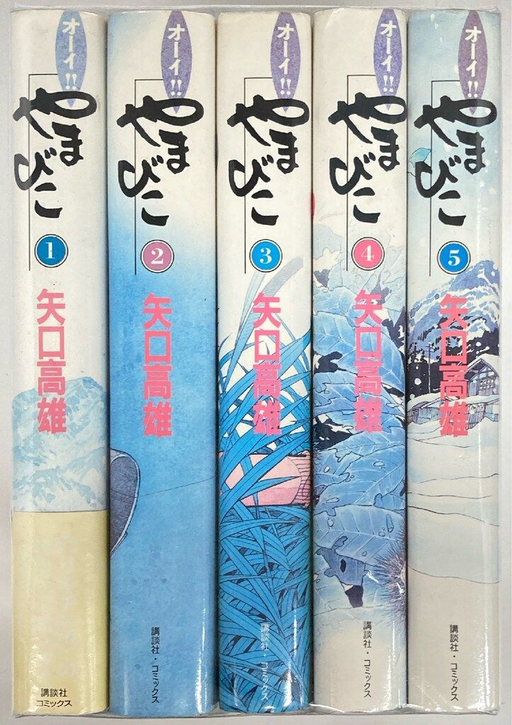 講談社 矢口高雄 オーイ!やまびこ 豪華版 全5巻 セット - メルカリ