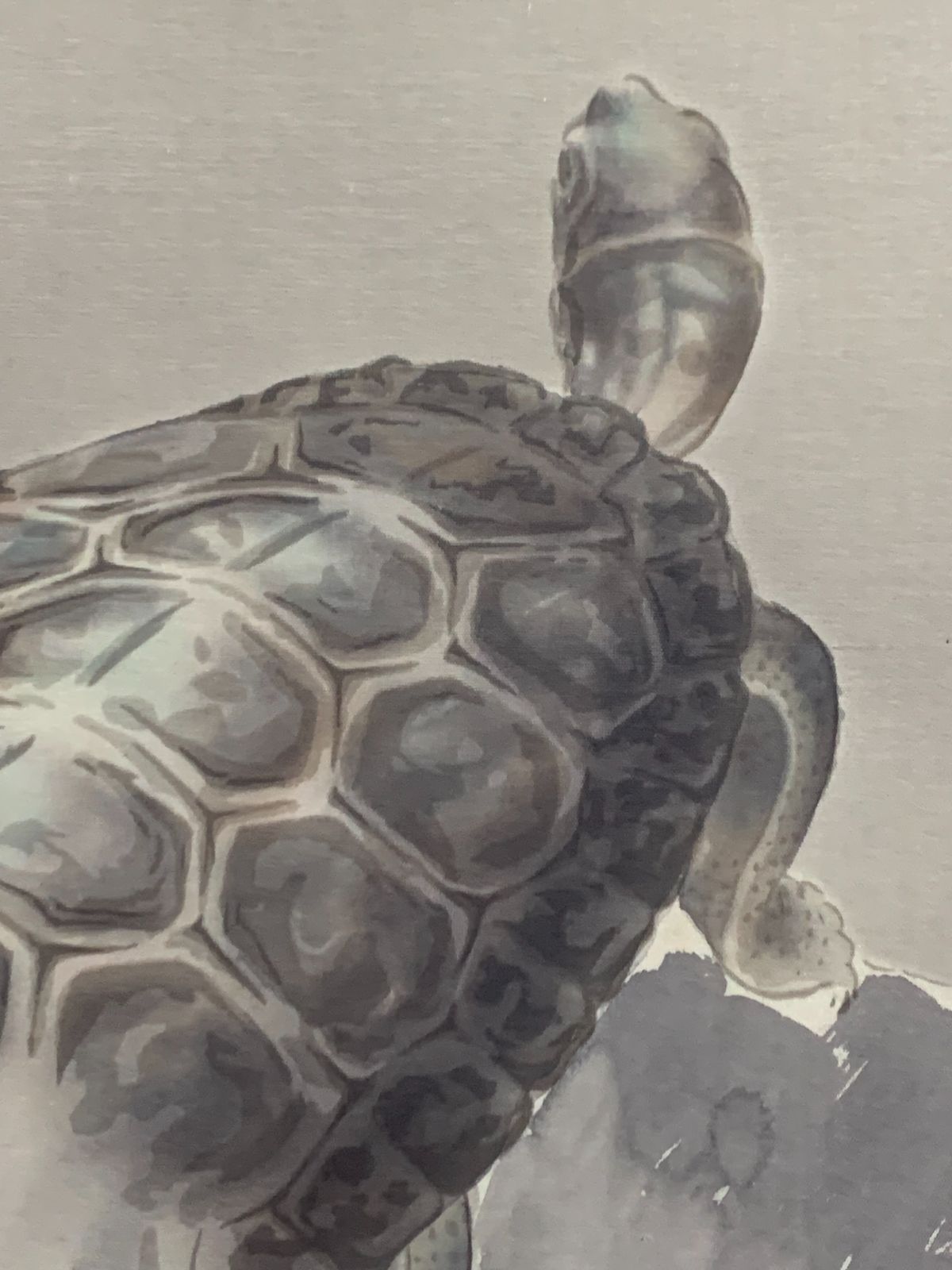 掛け軸】250 斎藤栄昌「福寿鶴亀 双幅」正月 めでたい #茶掛 #掛軸 #古