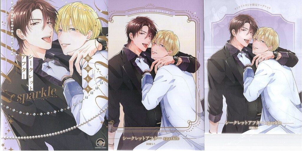 海王社 ガッシュコミックス 園瀬もち シークレットアフター sparkle