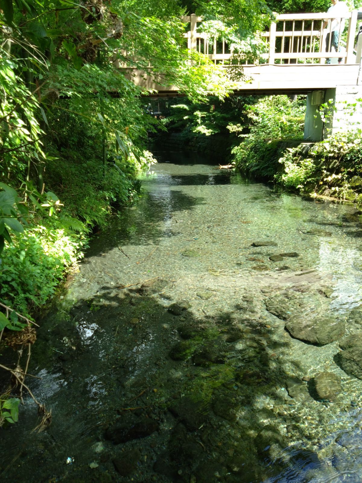 ショップ R7年新米 自然栽培米 黒米ミックス5kg玄米