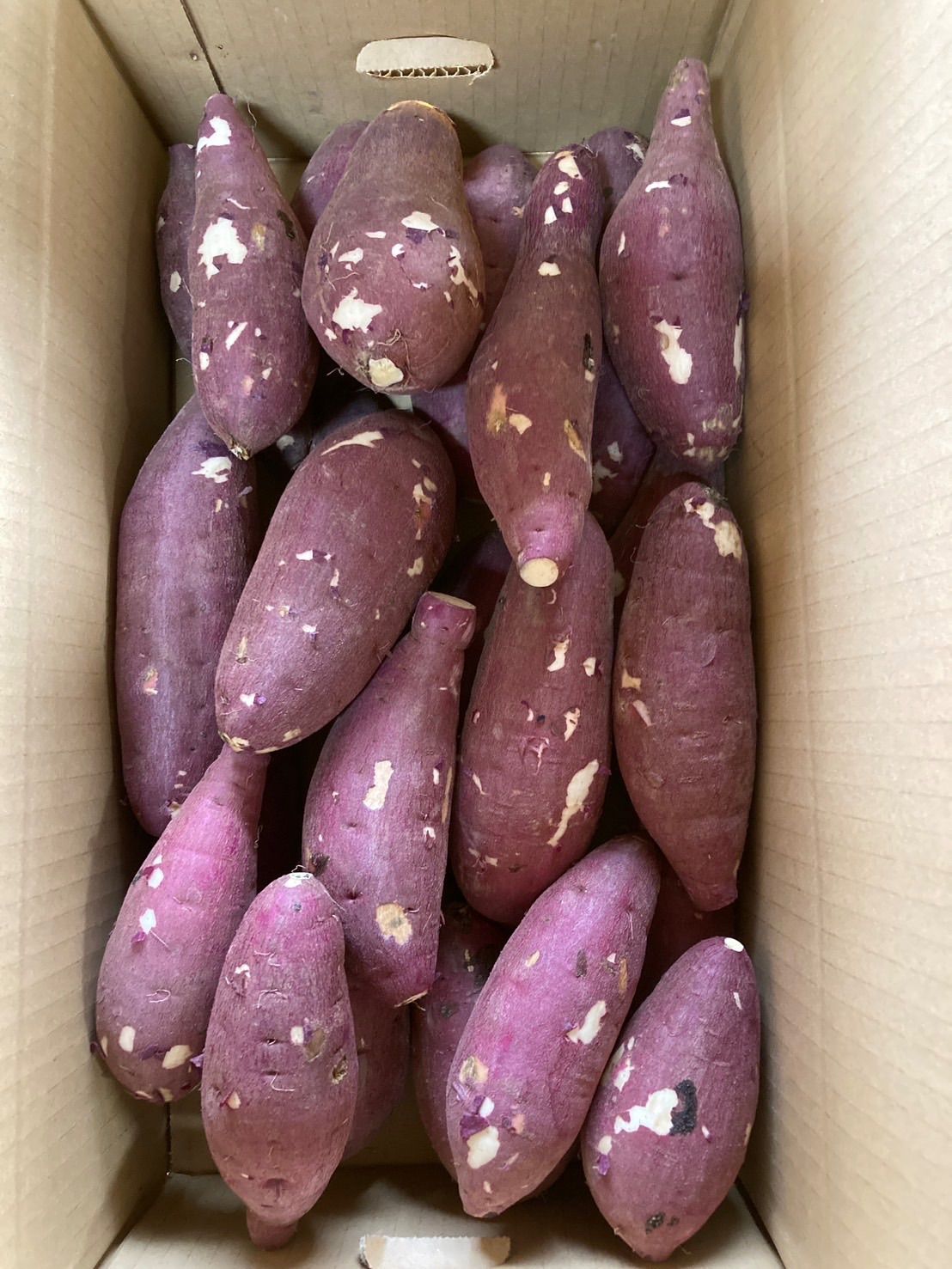 えっぐのっぐ！熊本県産　熟成紅はるかA品Mサイズ5キロ えっぐのっぐ様専用！熊本県産 熟成紅はるかA品M