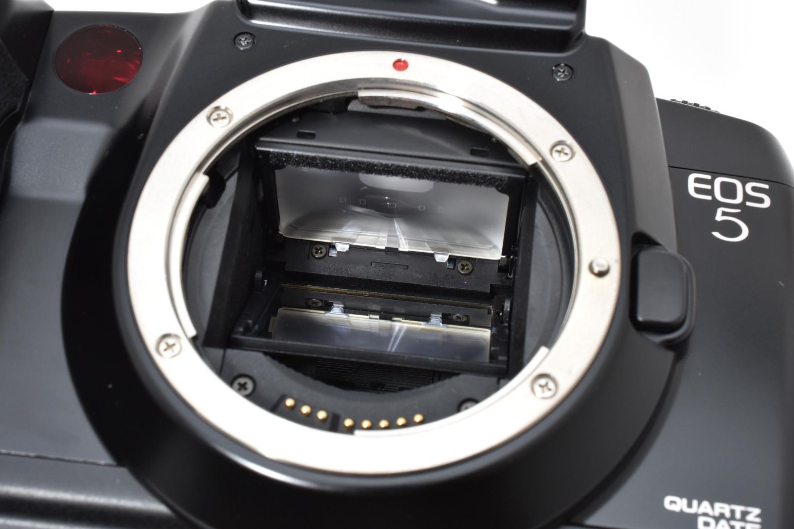 Canon EOS 5 QD 35mm SLR Film Camera Body フィルムカメラ w/Strap