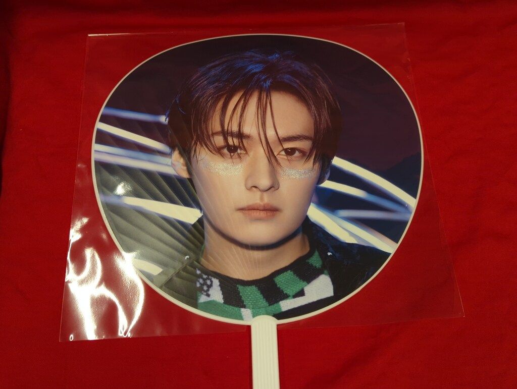 StrayKids 2025 dominATE JAPAN STADIUM LeeKnow うちわ - メルカリ