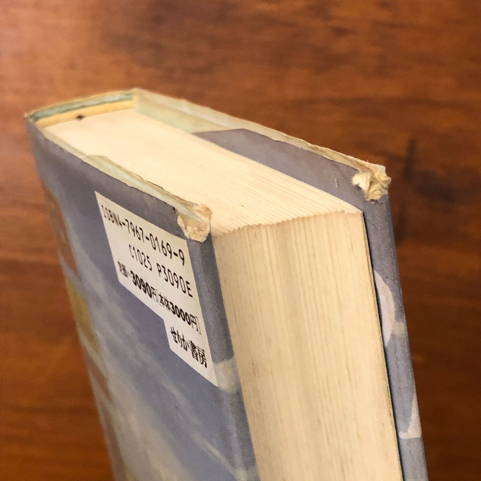 トポフィリア 人間と環境 イーフー・トゥアン せりか書房 1992年1月16