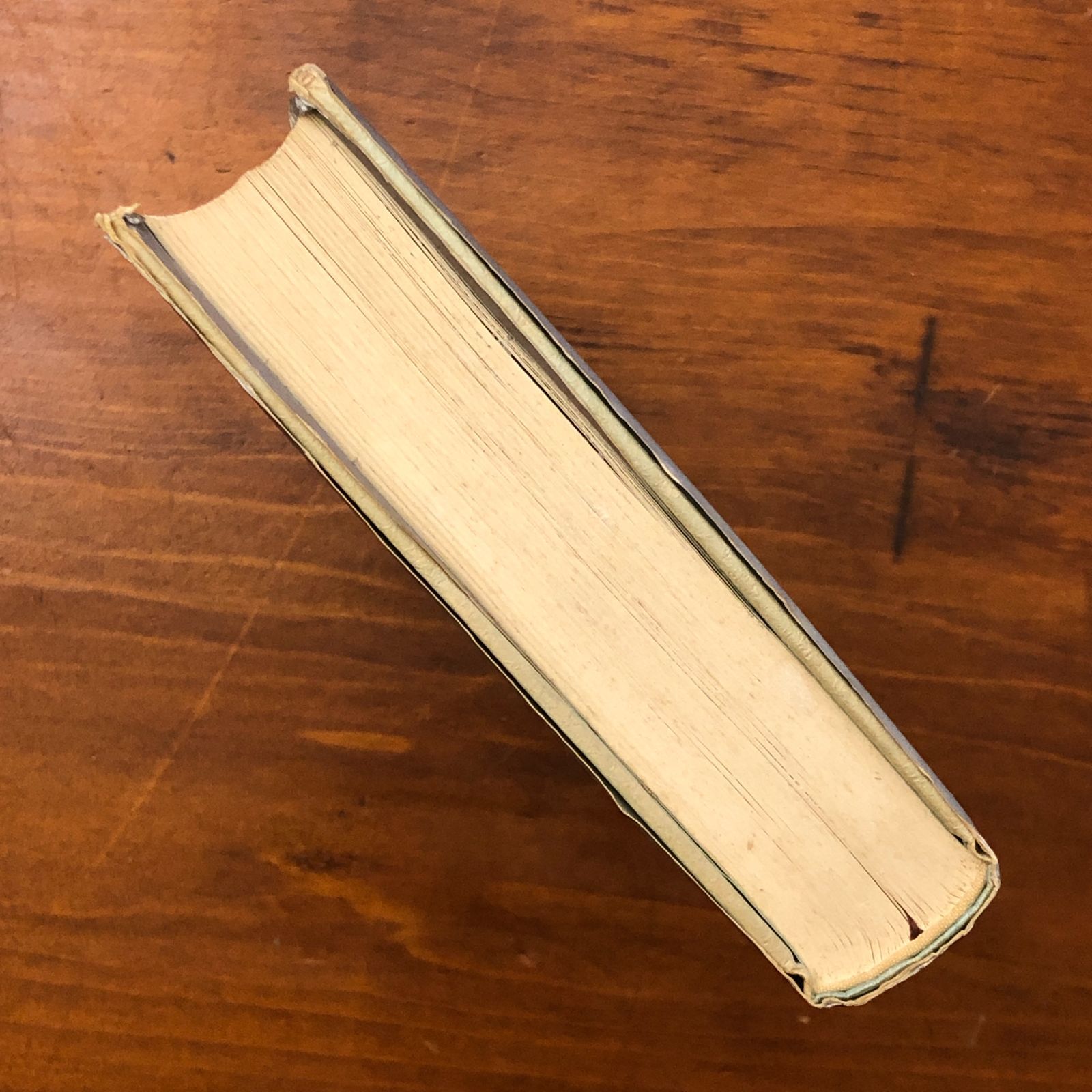 トポフィリア 人間と環境 イーフー・トゥアン せりか書房 1992年1月16