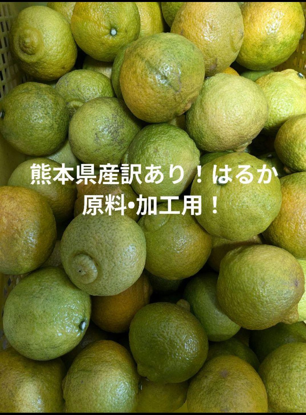 訳あり熊本県産 はるか 10kg 農家直送 - メルカリ