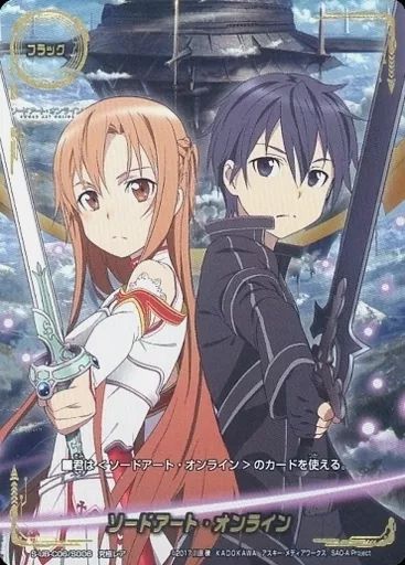 トレーディングカード バディファイト 究極レア フラッグ 画像3枚分