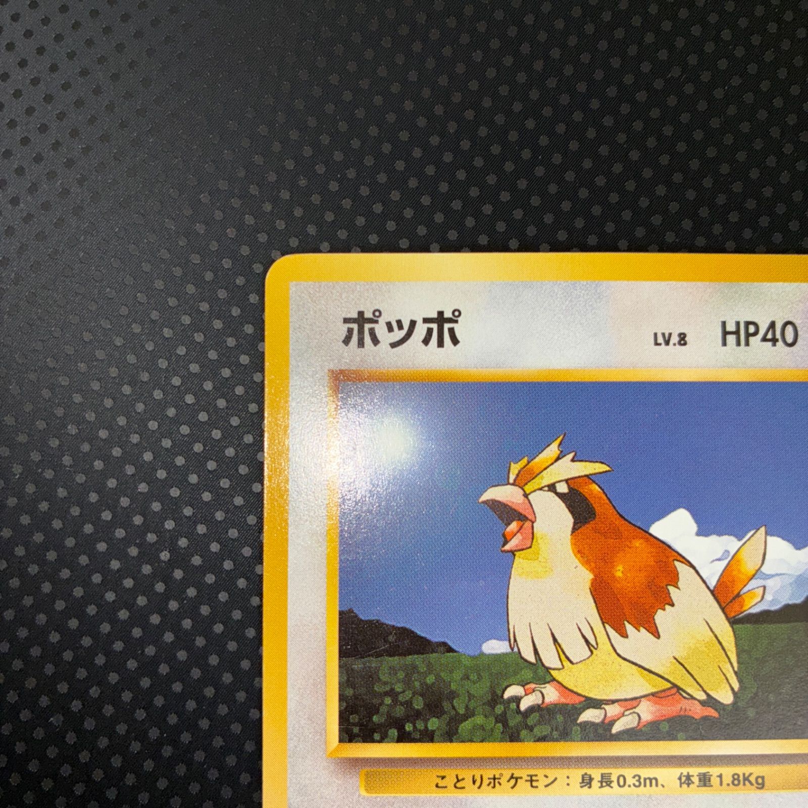 状態A ポッポ 旧裏 初版 マークなし - メルカリ