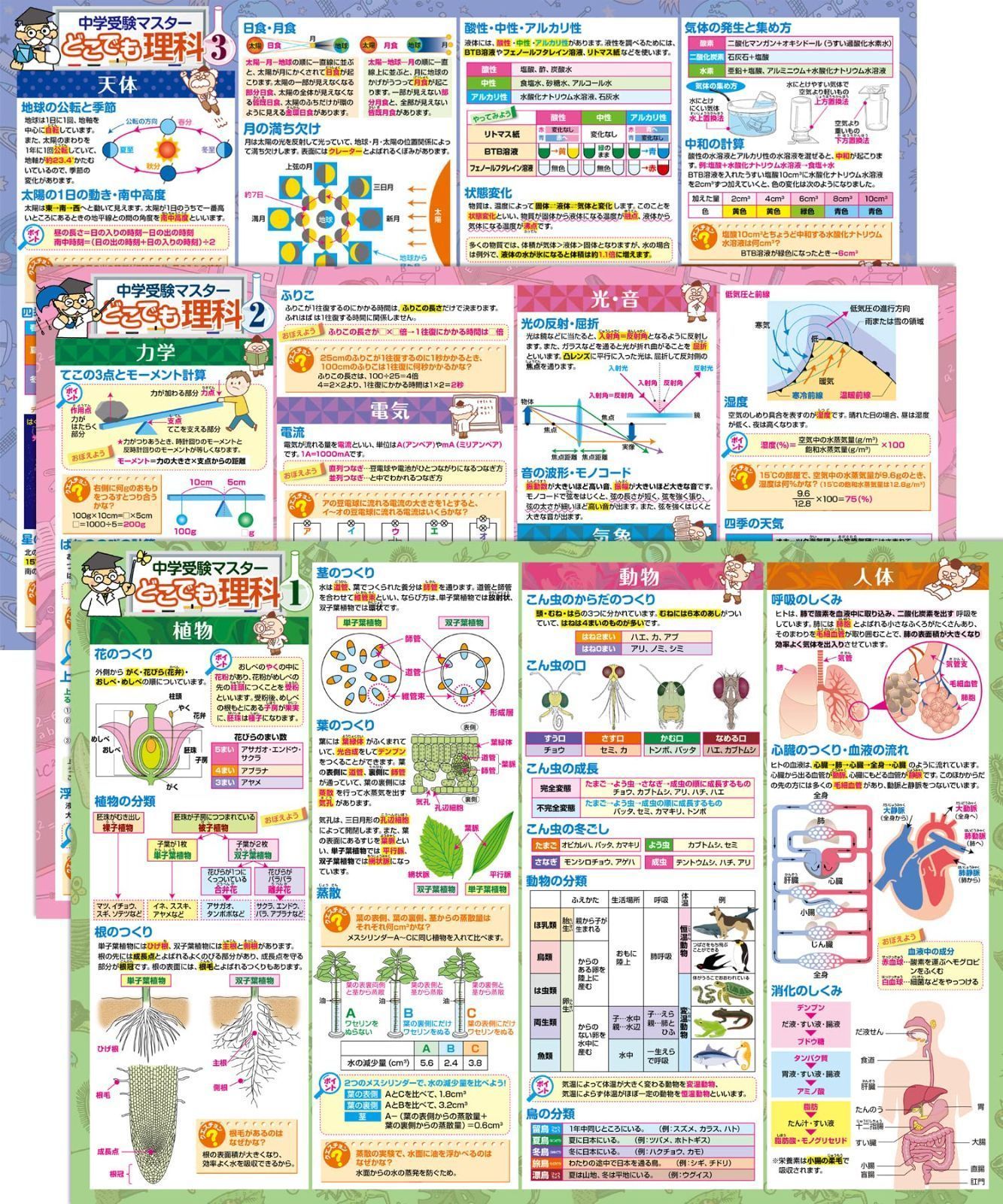 数量限定】中学受験に必要な理科まとめ 日本製 B3サイズ 3枚セット