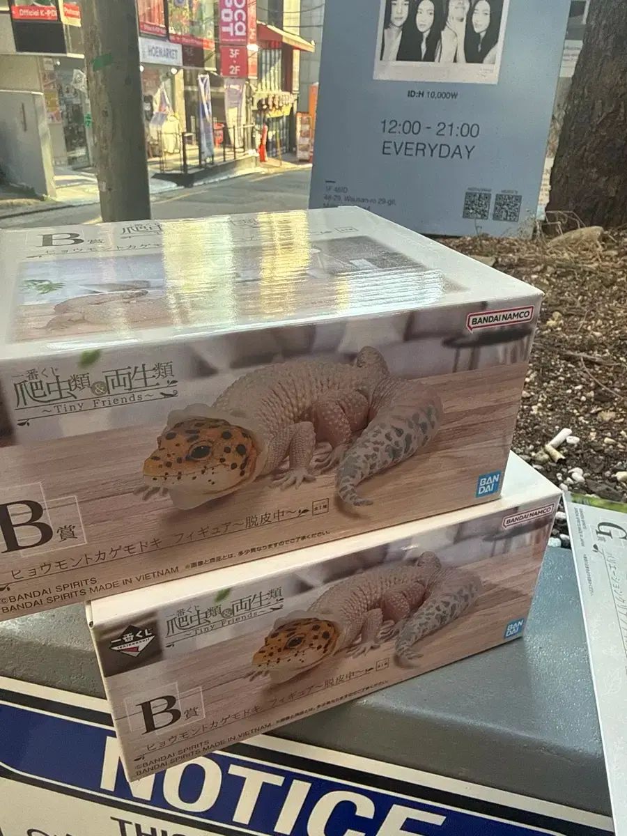 一番くじ爬虫類＆両生類 B賞 ヒョウ柄レオパードゲッコー フィギュア